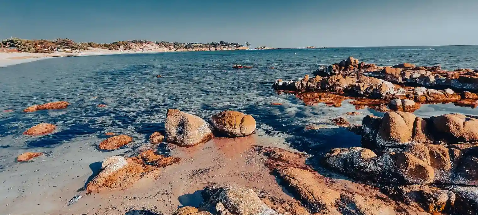 Balade vers la plage de Tamaricciu
