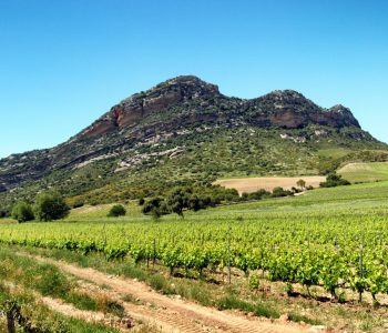 DOMAINE PATRIMONIO HAUTE CORSE