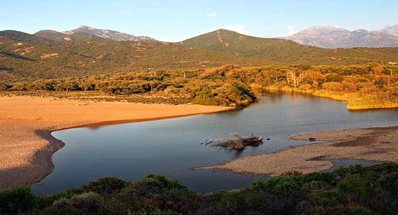 que faire en Corse