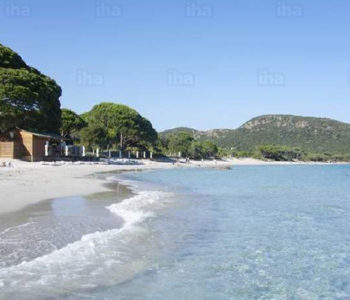 Plage de la Palombaggia