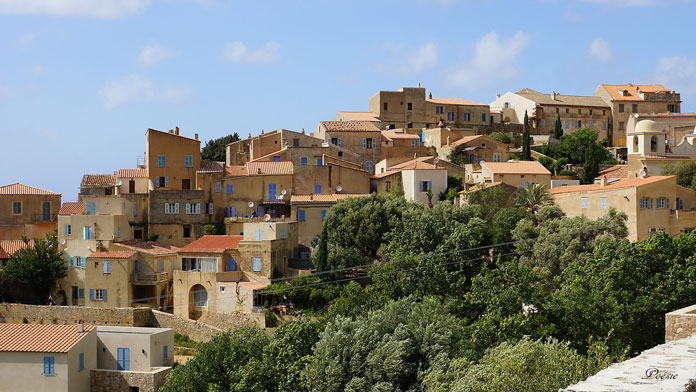 Pigna Corse alentours Camping Castors