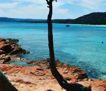 Que faire à Palombaggia