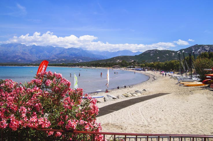 Camping Corse Bord De Mer Camping à 300 Mètres Des Plages