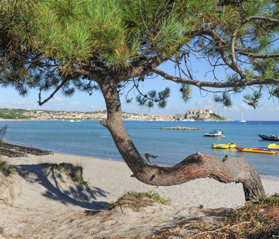 Camping Corse | Calvi | Haute-Corse | Ile Rousse | Bord de mer | 4 ...