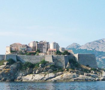 Calvi