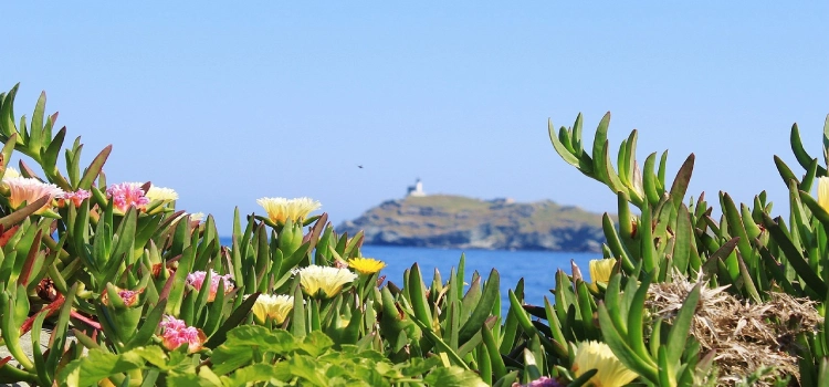 routes panoramiques de Haute-Corse