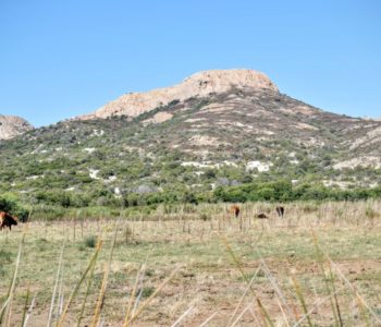 desert agriates corse