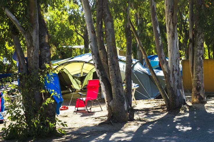 emplacement avec arbre camping Castors