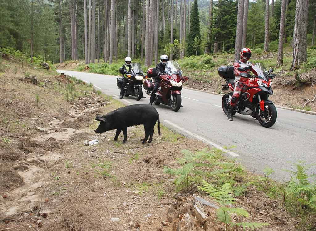 Explorer la Corse en moto