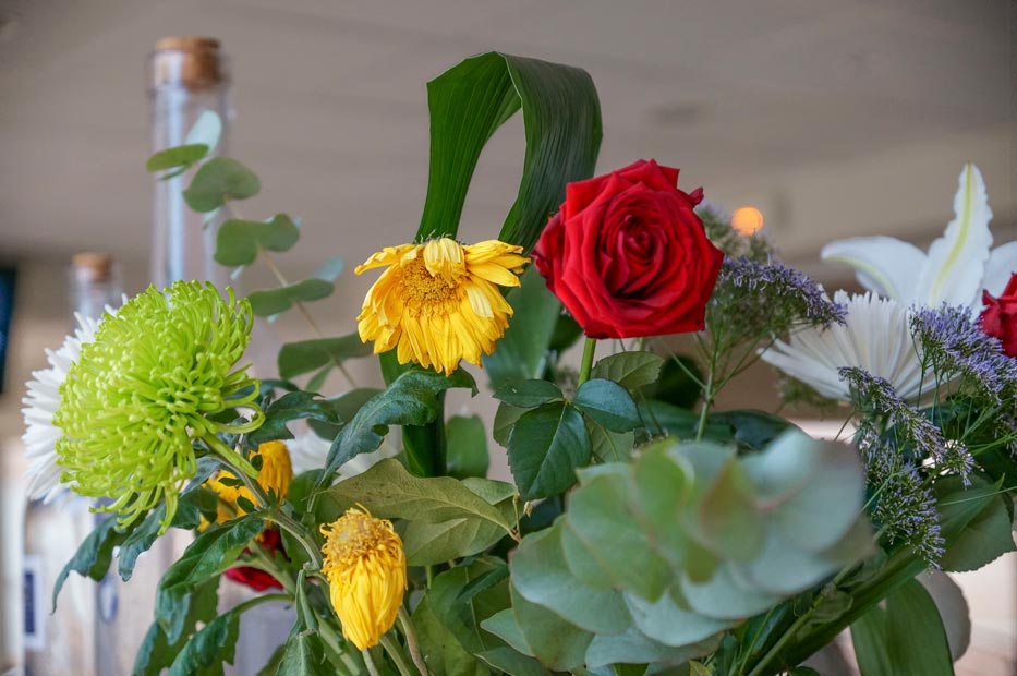 fleurs camping Castors