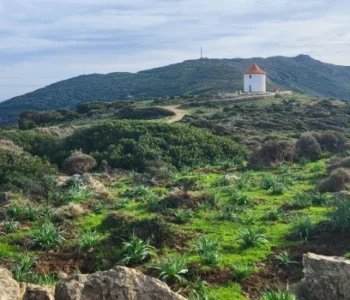 routes panoramiques de Haute-Corse