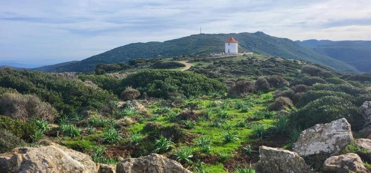 routes panoramiques de Haute-Corse