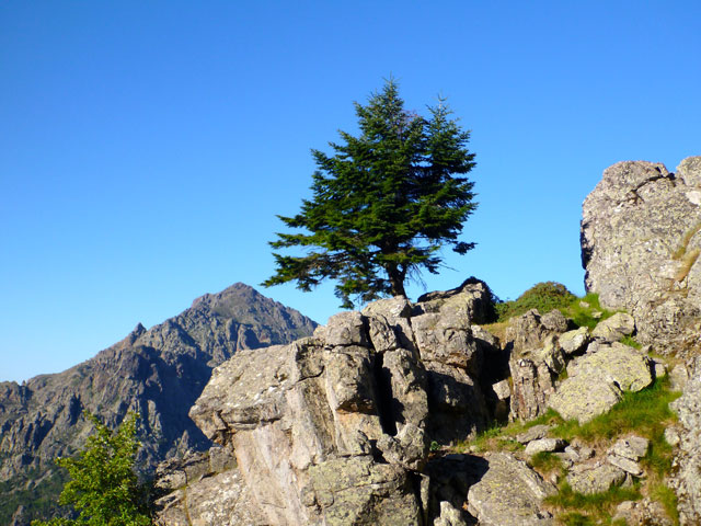 nature Calenzana alentour camping Castor
