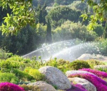 parc de saleccia