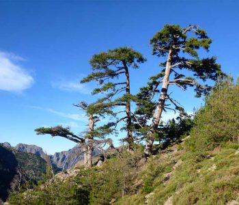 Tourisme En Corse Que Faire En Corse Guide Touristique