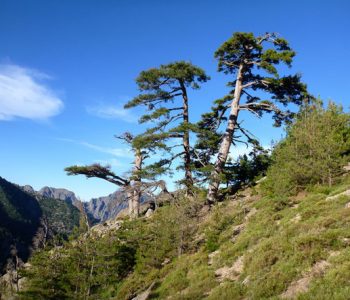 paysage Calenzana près camping Castor