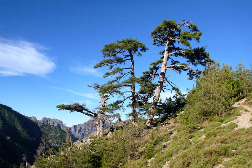 paysage Calenzana près camping Castor