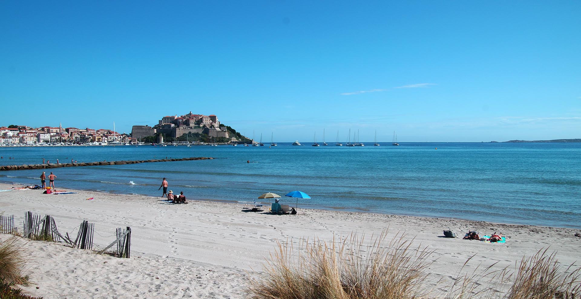 calvi plage