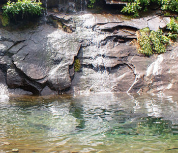 riviere corse