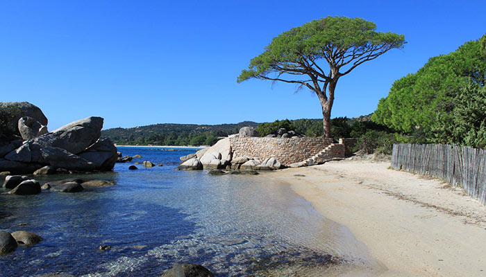 Camping Palombaggia en Corse | Mobil Home | Plage de la Palombaggia
