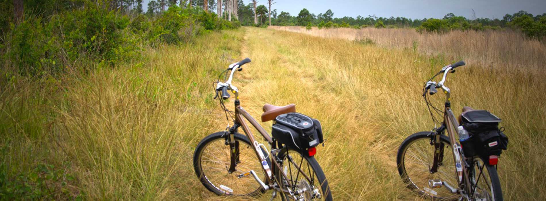 bicyclette à louer