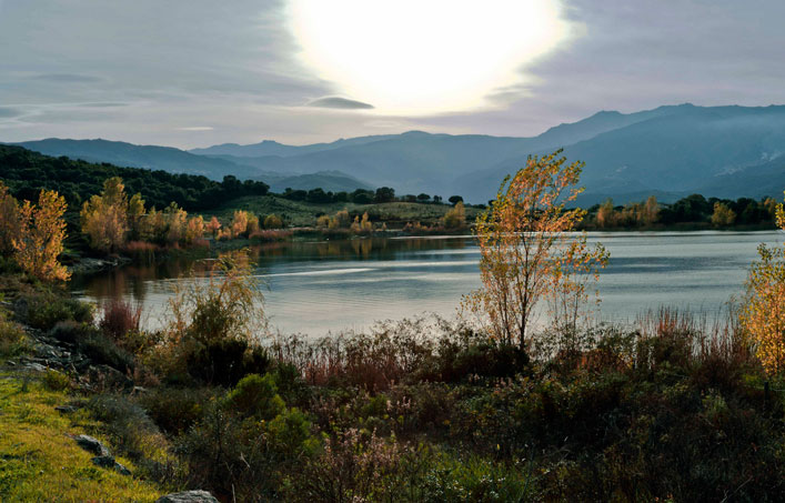 verdure près camping Corse